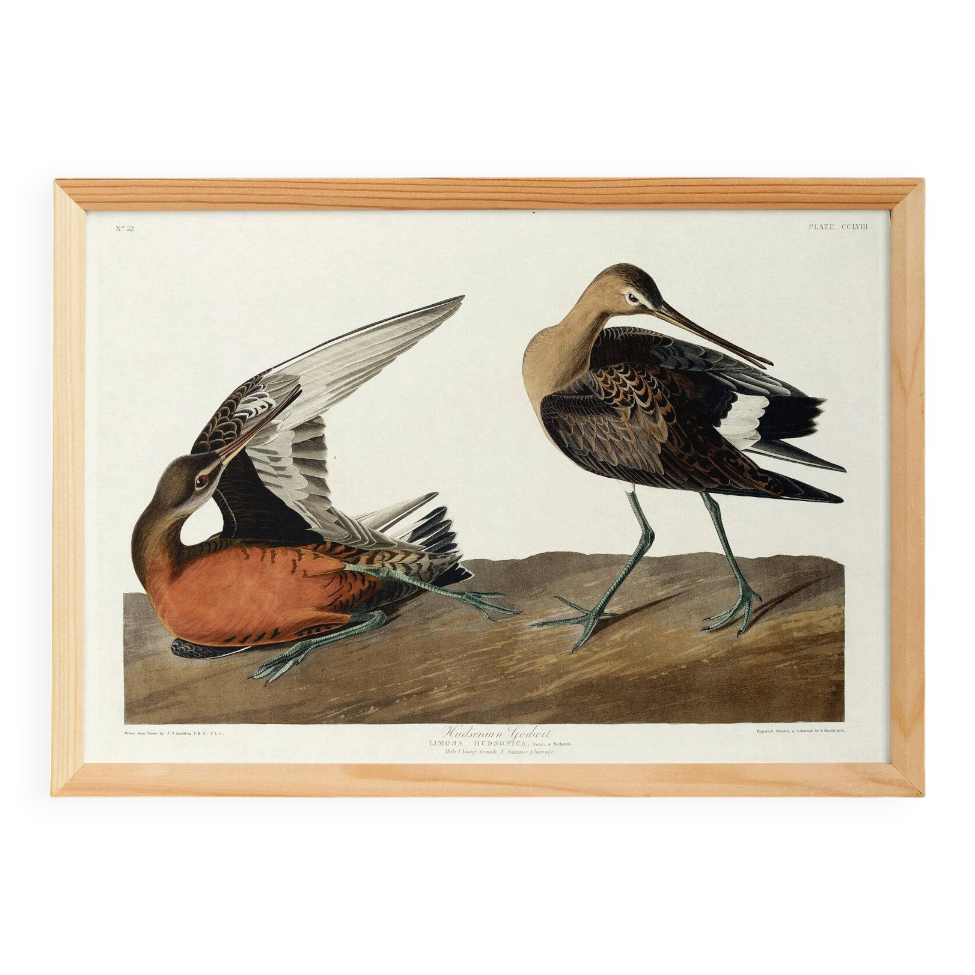 Poster about the Hudson's River Barge, based on an old engraving from 1827.