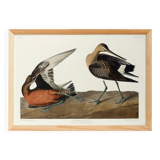 Poster about the Hudson's River Barge, based on an old engraving from 1827.