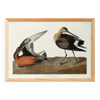 Poster about the Hudson's River Barge, based on an old engraving from 1827.