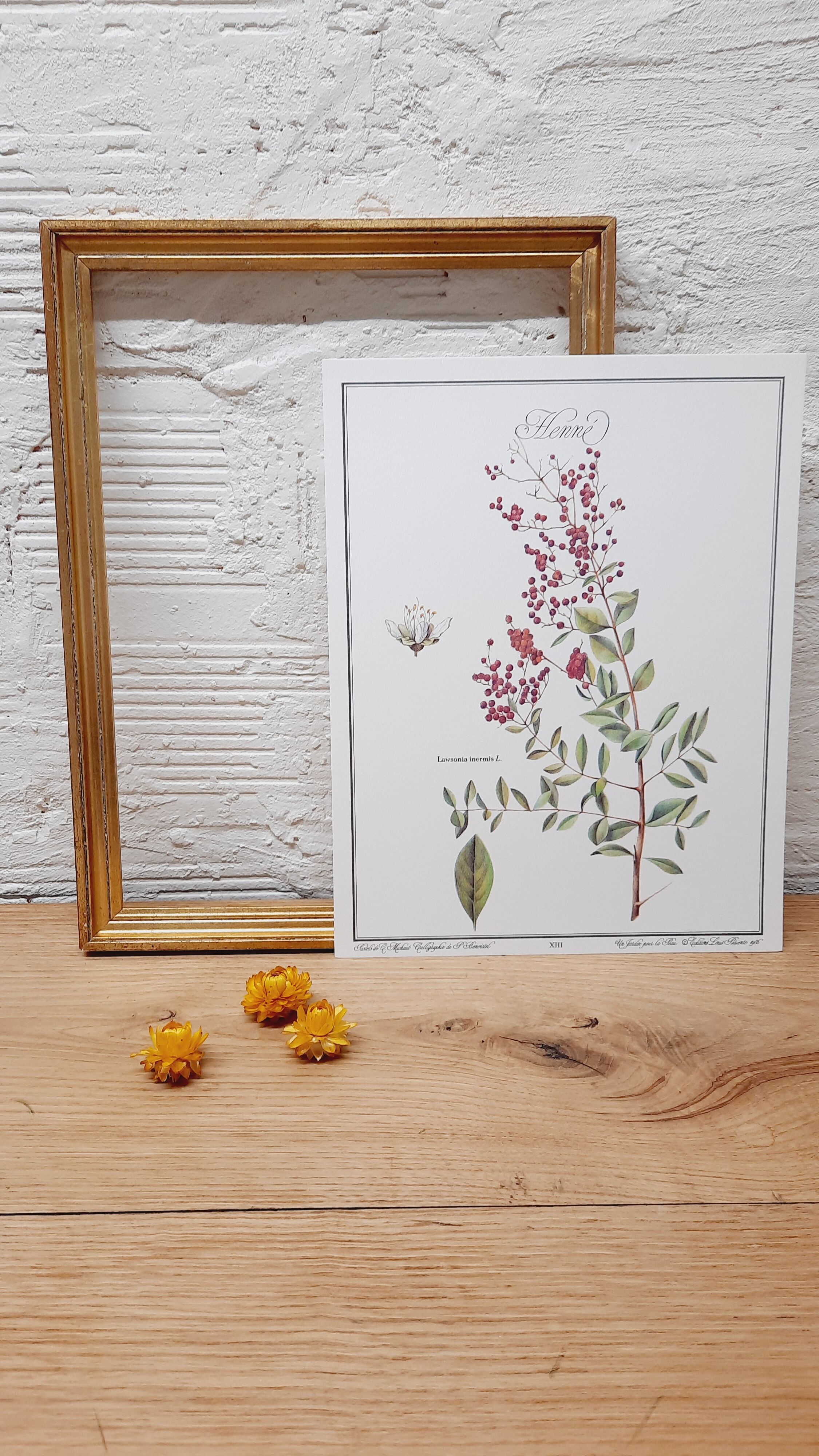 Botanical board Henna