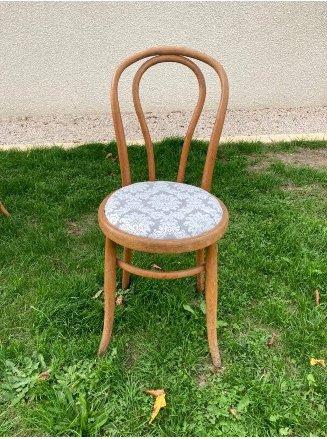 6 Bistro Chairs Fischel Thonet Bent Beech Damask Fabric