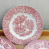8 English Ironstone decor plates