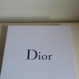 Empty pocket porcelain feelings for dior