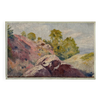 Oil painting on canvas "Cliff" No. 41