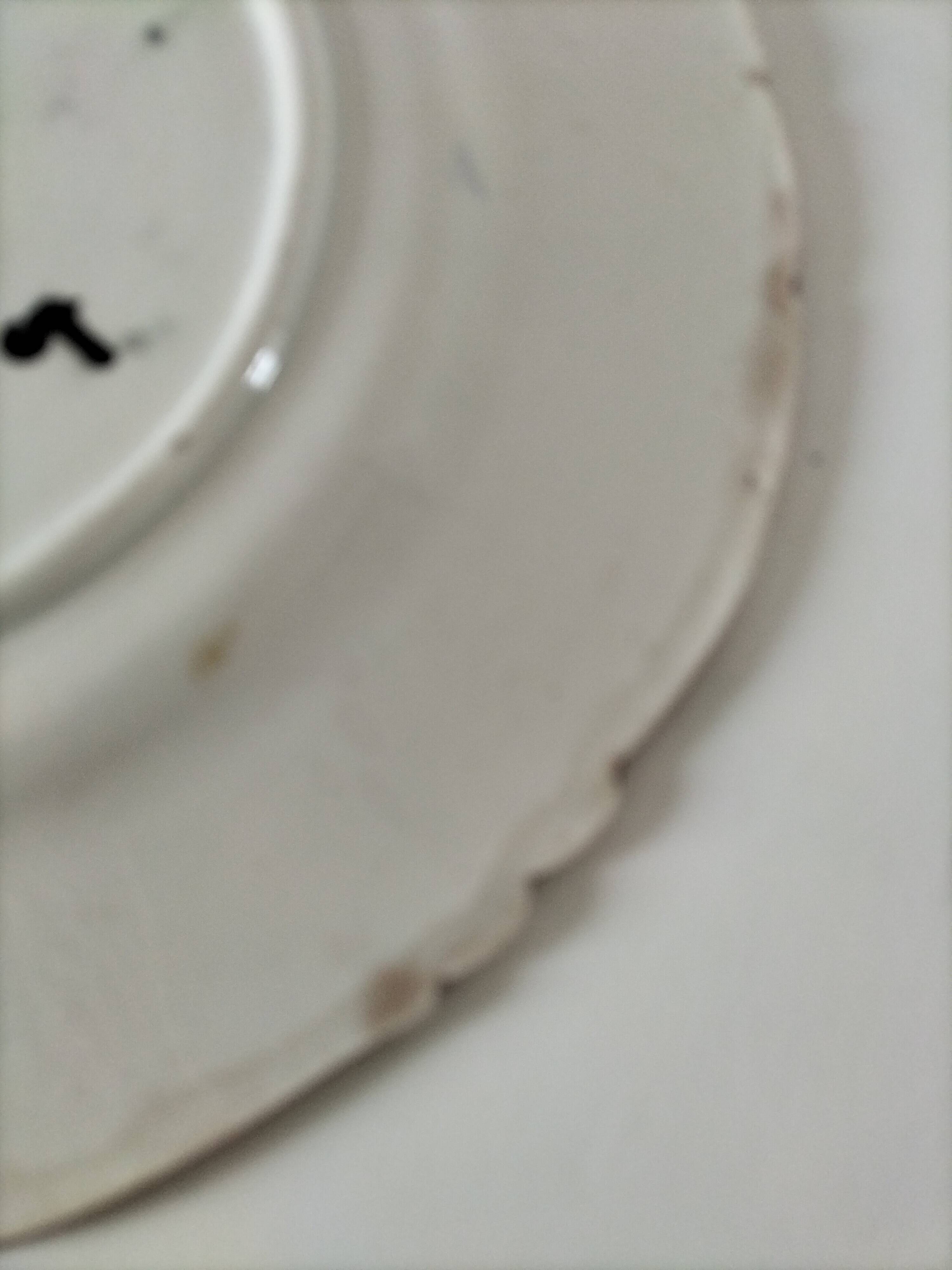 Asparagus plate in earthenware – acanthus and shells – around 1900