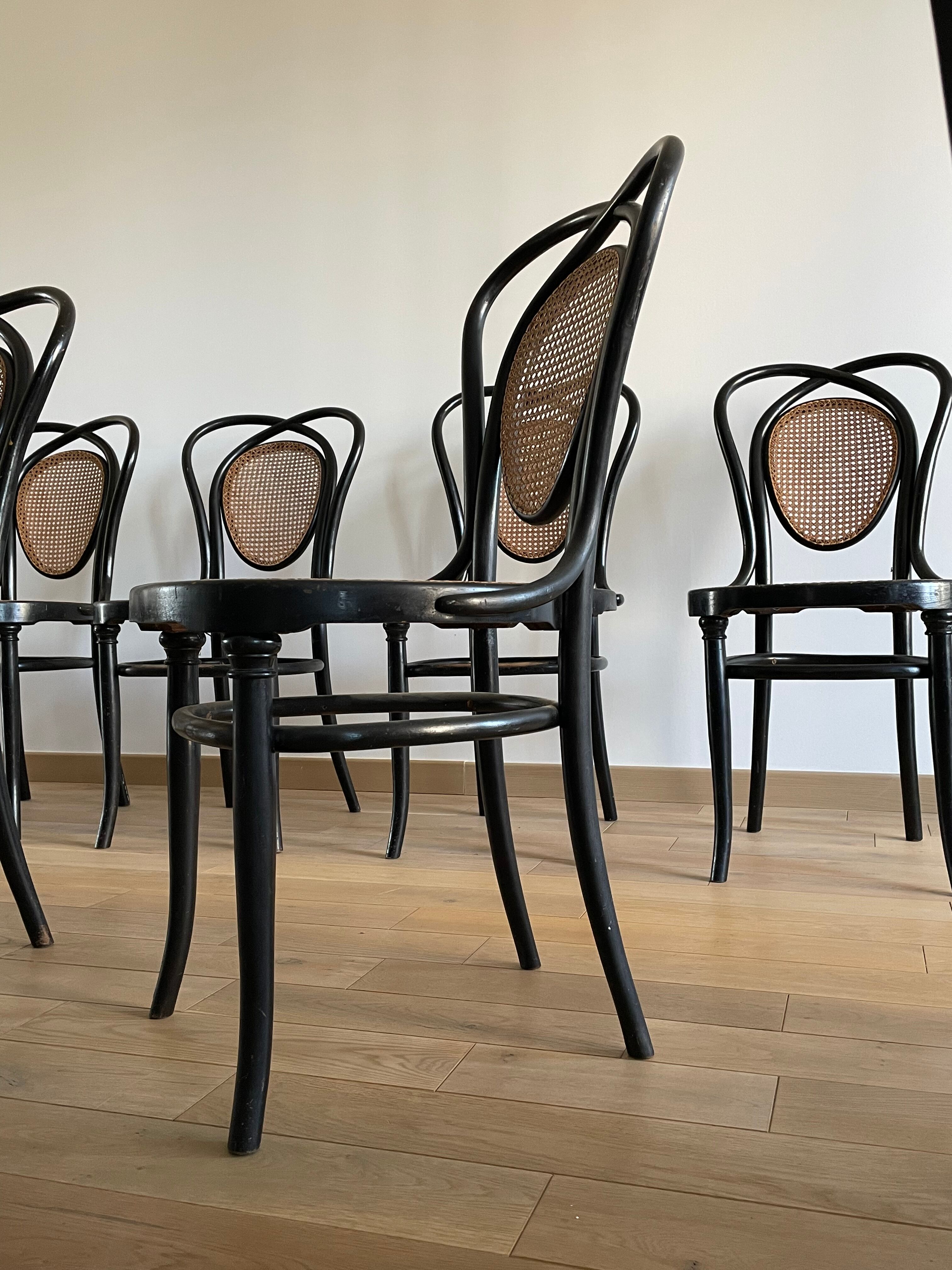 Series of 8 Viennese chairs N.33 by J&J Kohn, 1900