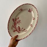 Old oval dish in iron earth