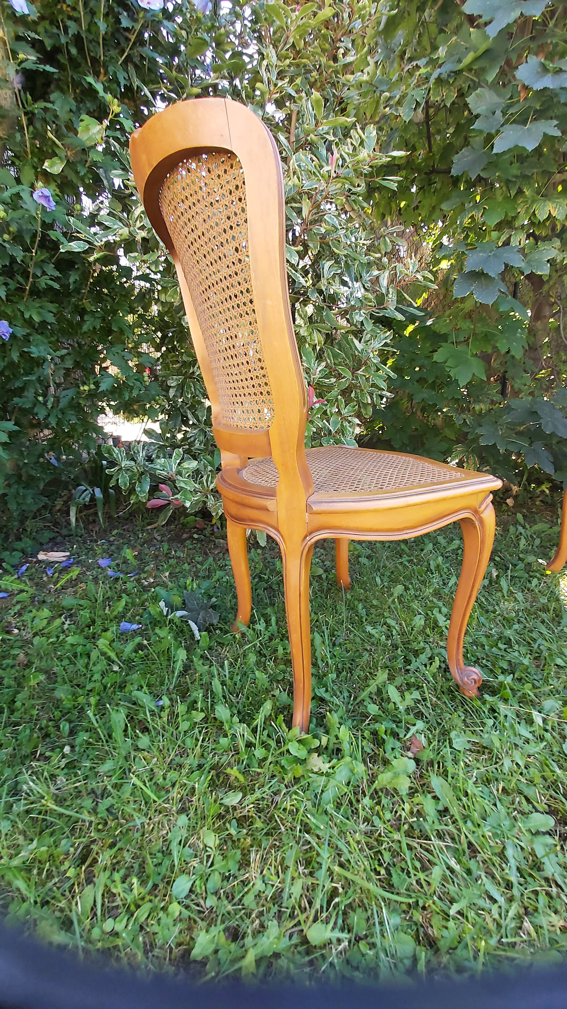 Set of three regency cane chairs