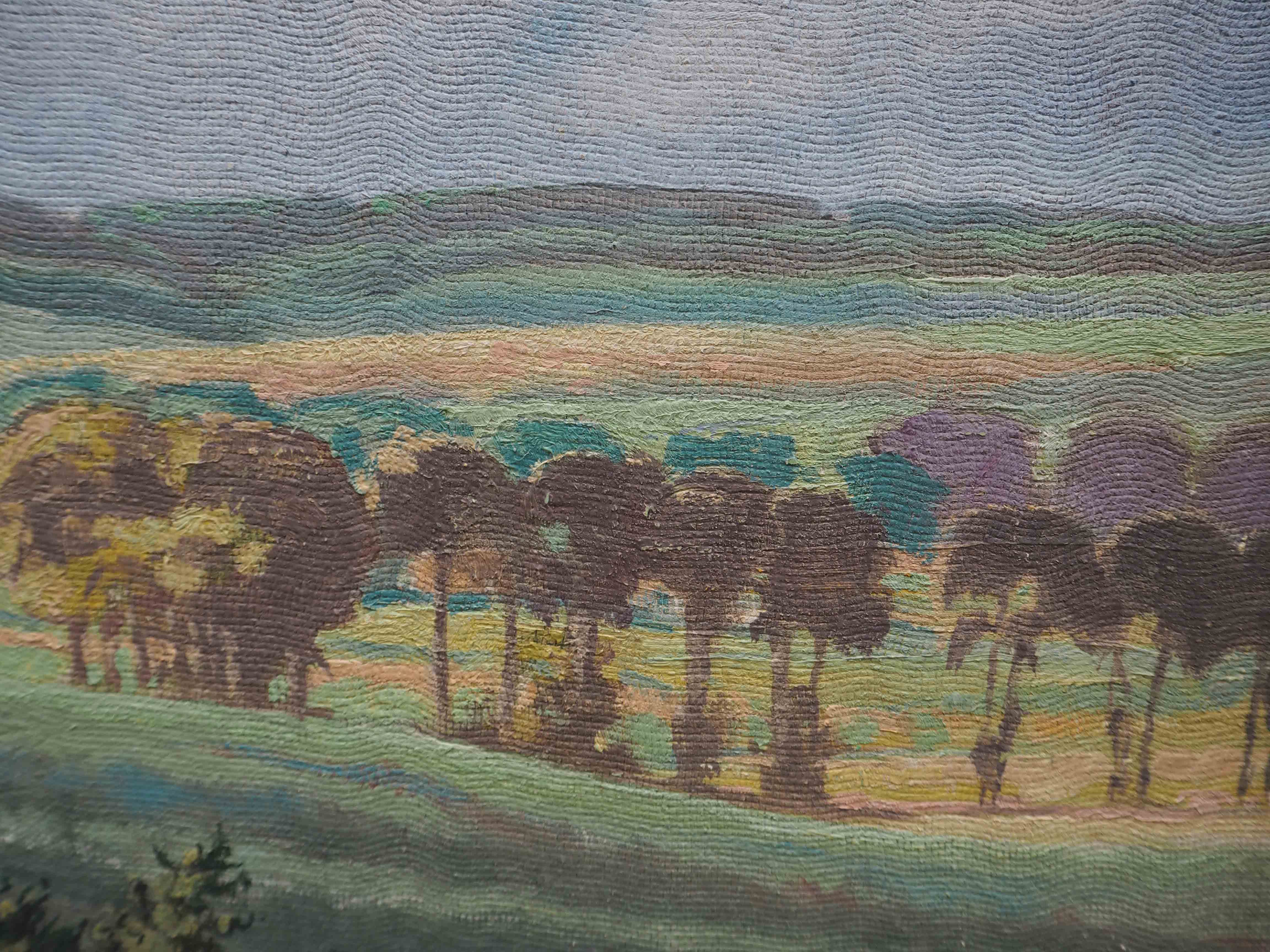 Tableau HSP Paysage ensoleillé Champs et forêts signé 1956 + cadre