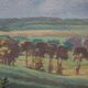 Painting HSP Sunny landscape Fields and forests signed 1956 + frame