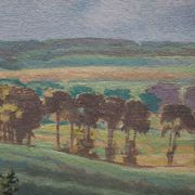 Painting HSP Sunny landscape Fields and forests signed 1956 + frame
