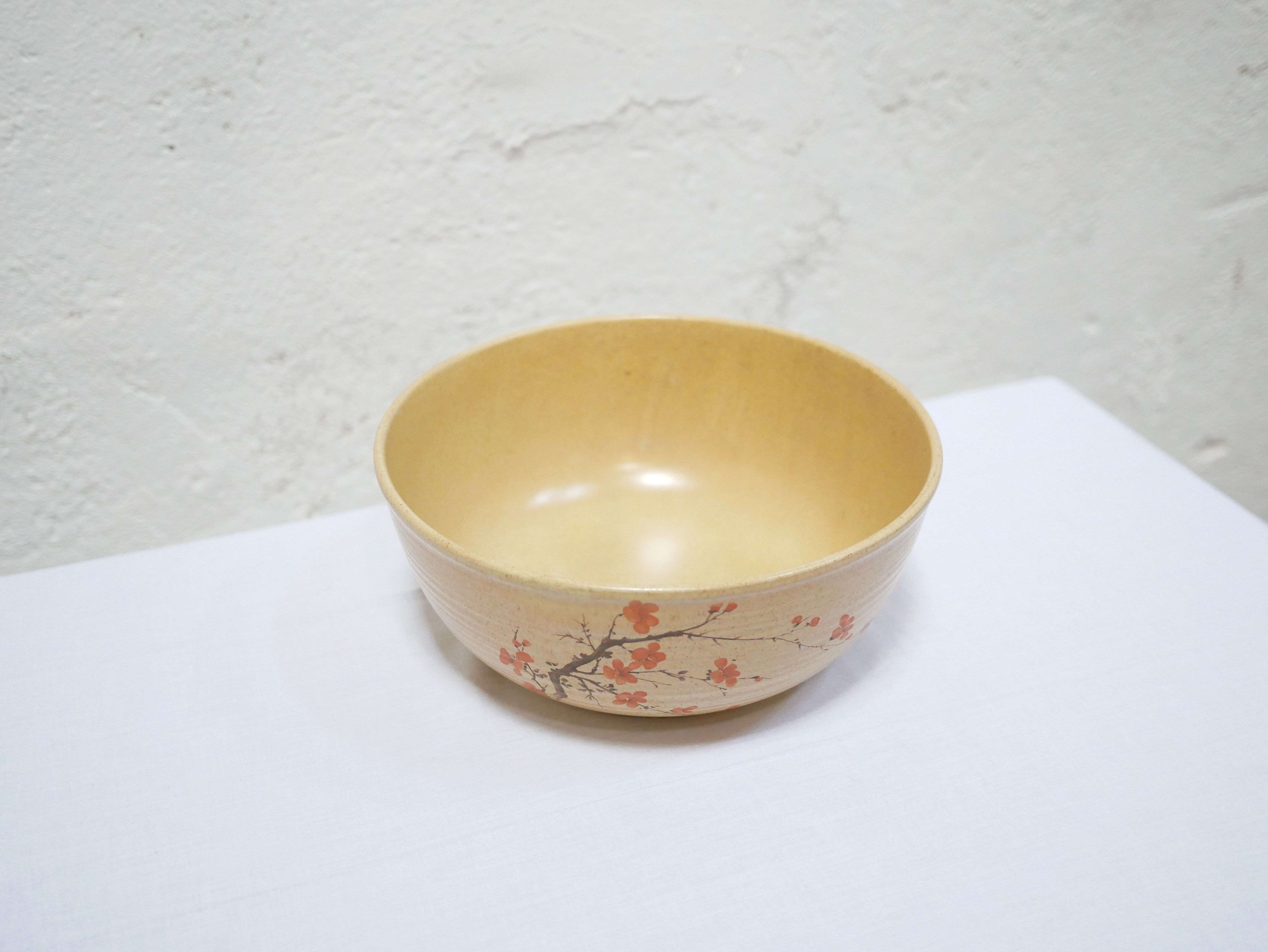 Vintage porcelain salad bowl by Maison Revol, France