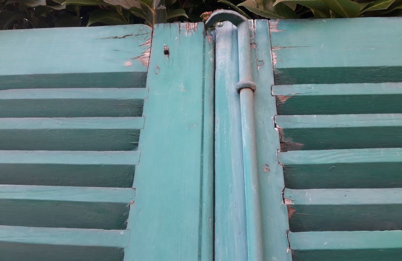 Pair of louvered shutters H220xW120cm