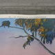 School poster editions nightingale N° 41 and 42 mountain and Mediterranean vegetation
