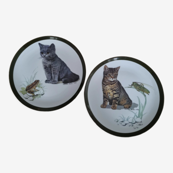 Porcelain cat decorative plates