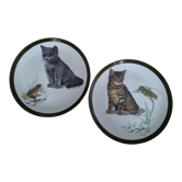 Porcelain cat decorative plates