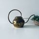 Old brass watering can