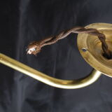 Gooseneck frosted glass Tulip applique