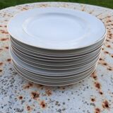 10 white flat plates Limoges