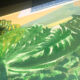 Pool paint
