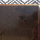 Art Deco enfilade in solid walnut
