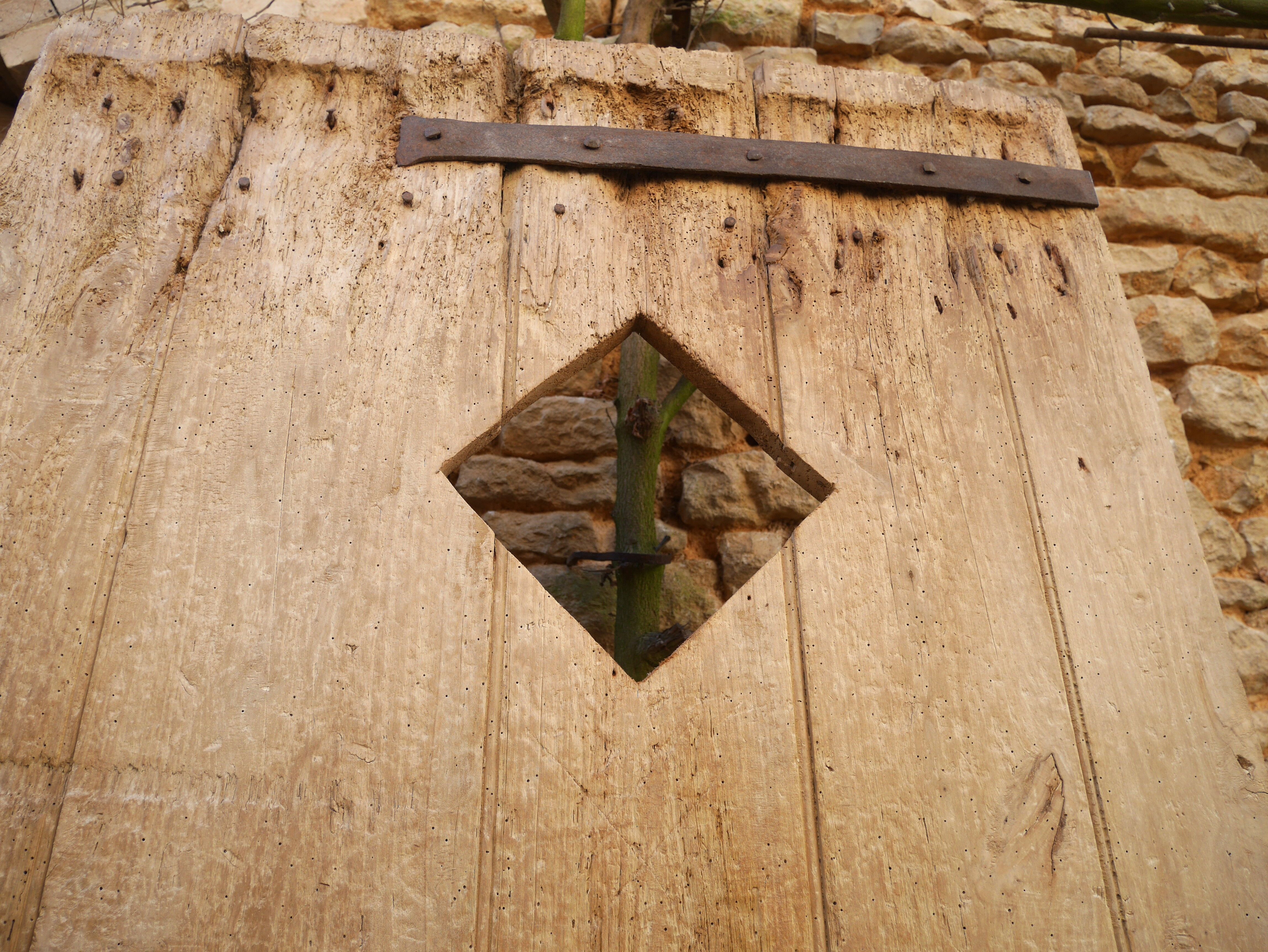 Ancienne porte de ferme cave  bois orme