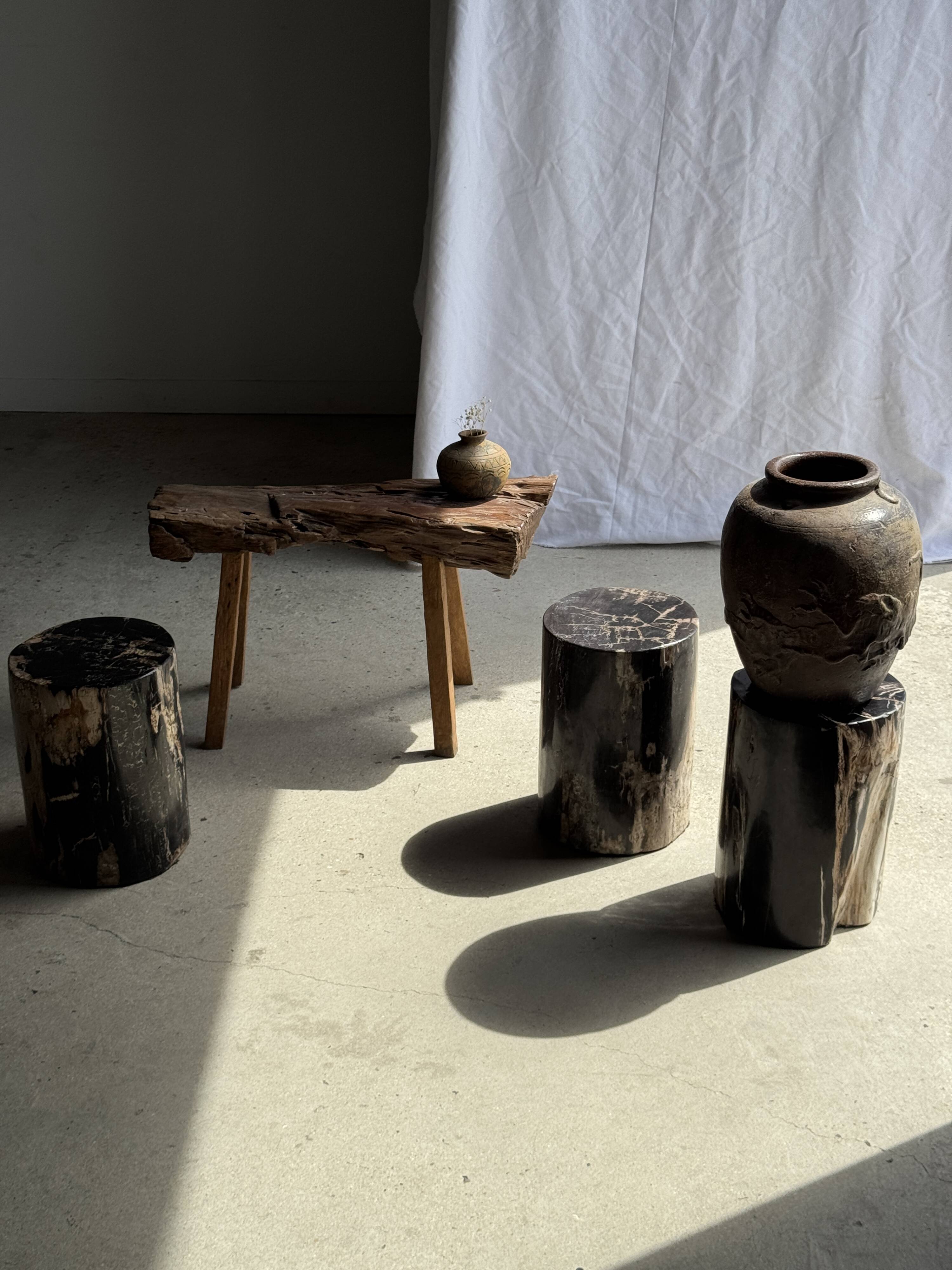 Black petrified wood side table with beige side H35 D24 - 3352