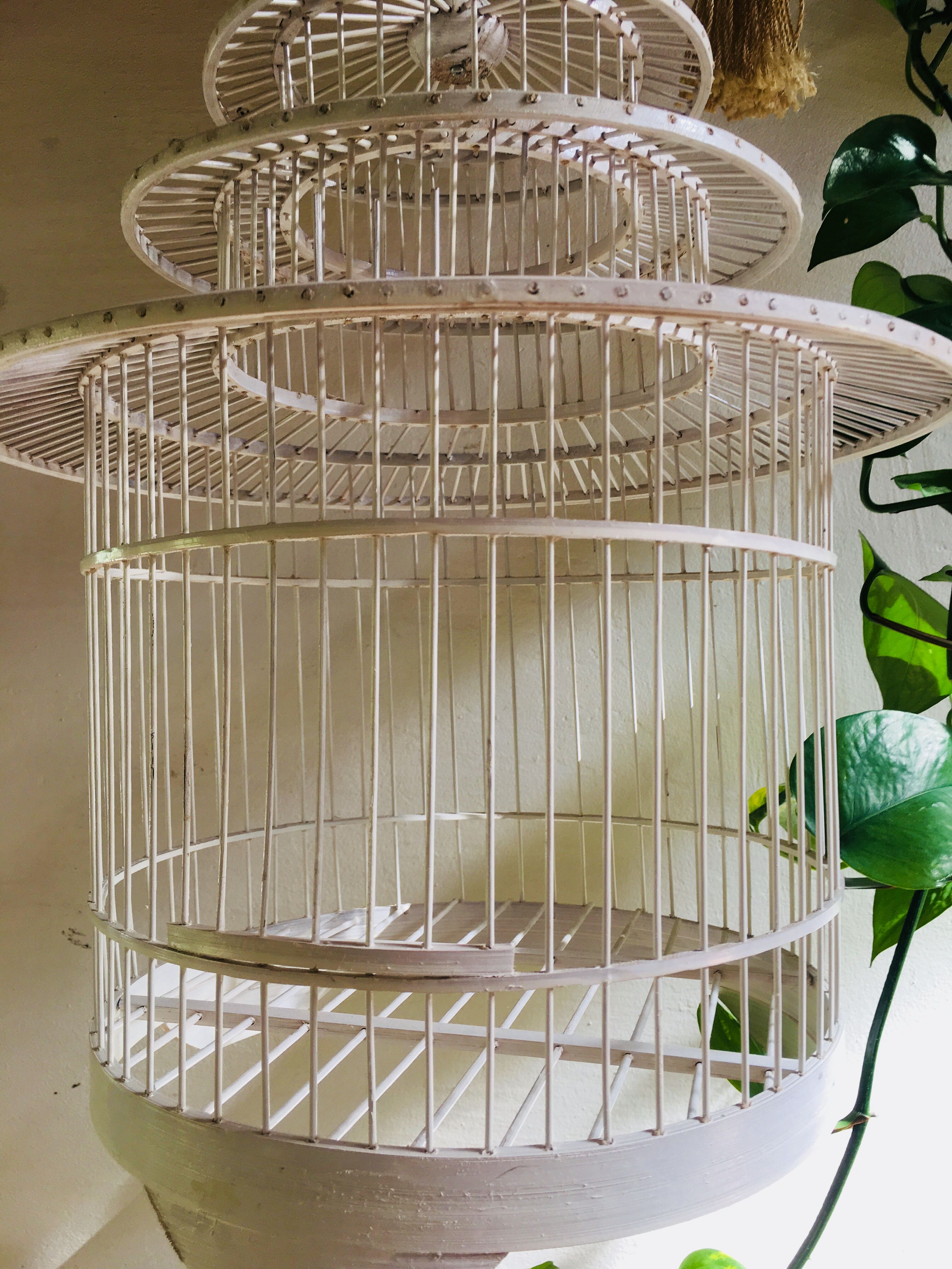 Cage à oiseau