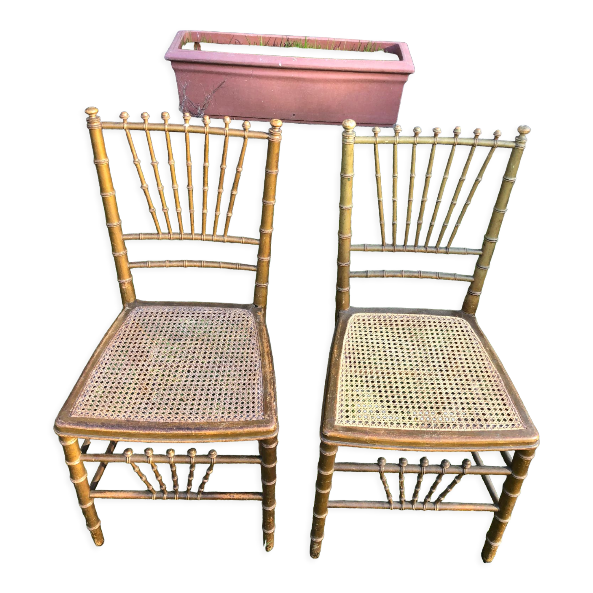Pair of caned chairs in gilded wood