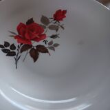 Lot de 4 assiettes à soupe Arcopal