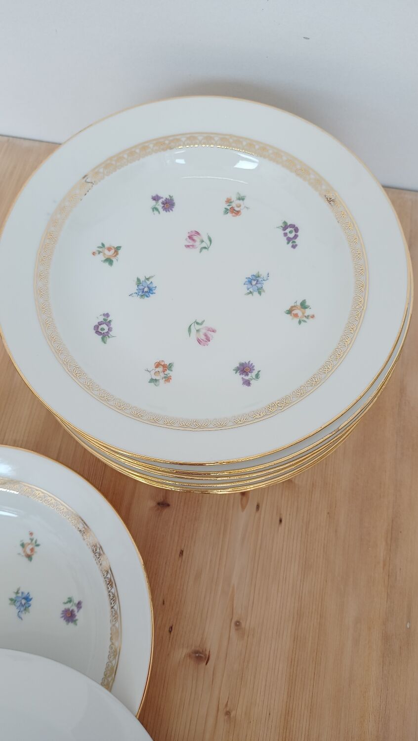 Hollow porcelain plates
