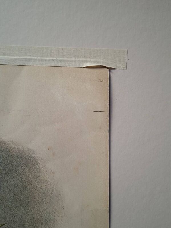 Gravure Daniel Giraud Elliot