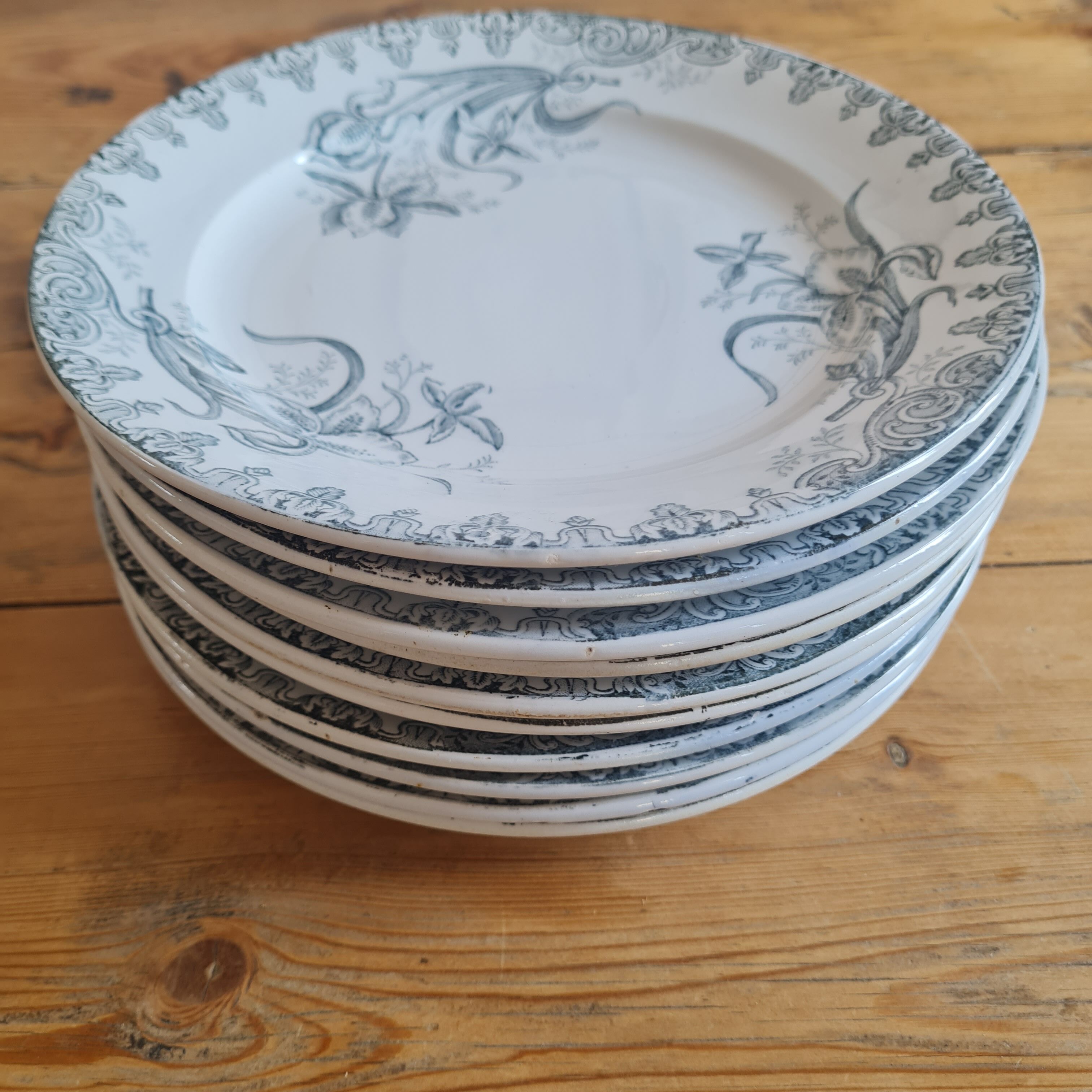 Set of 10 plates in iron earth