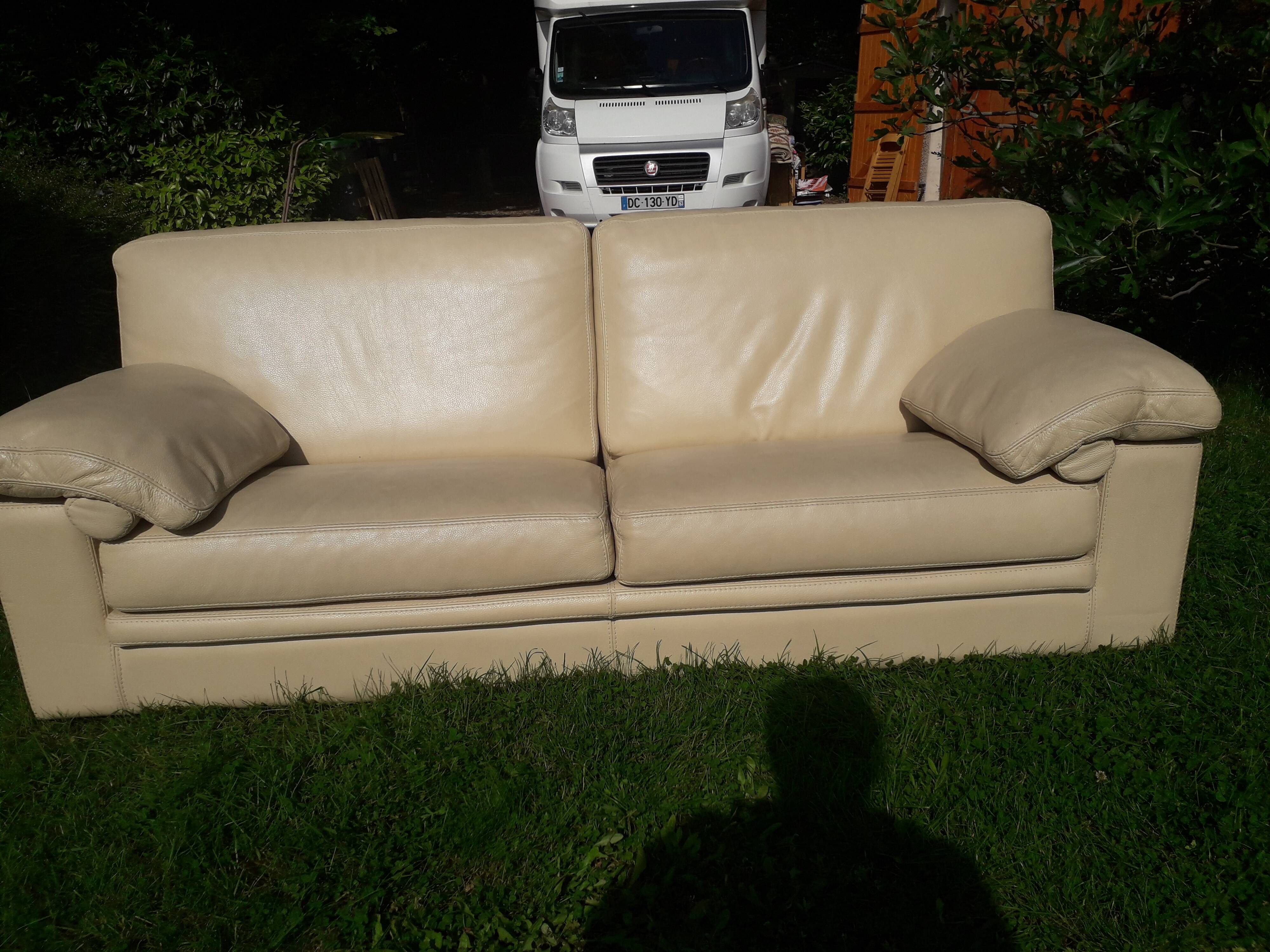 Canape cuir roche bobois