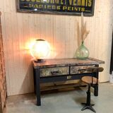 Ancient beech and oak establishment