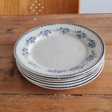 Serving of 6 plates in iron earth