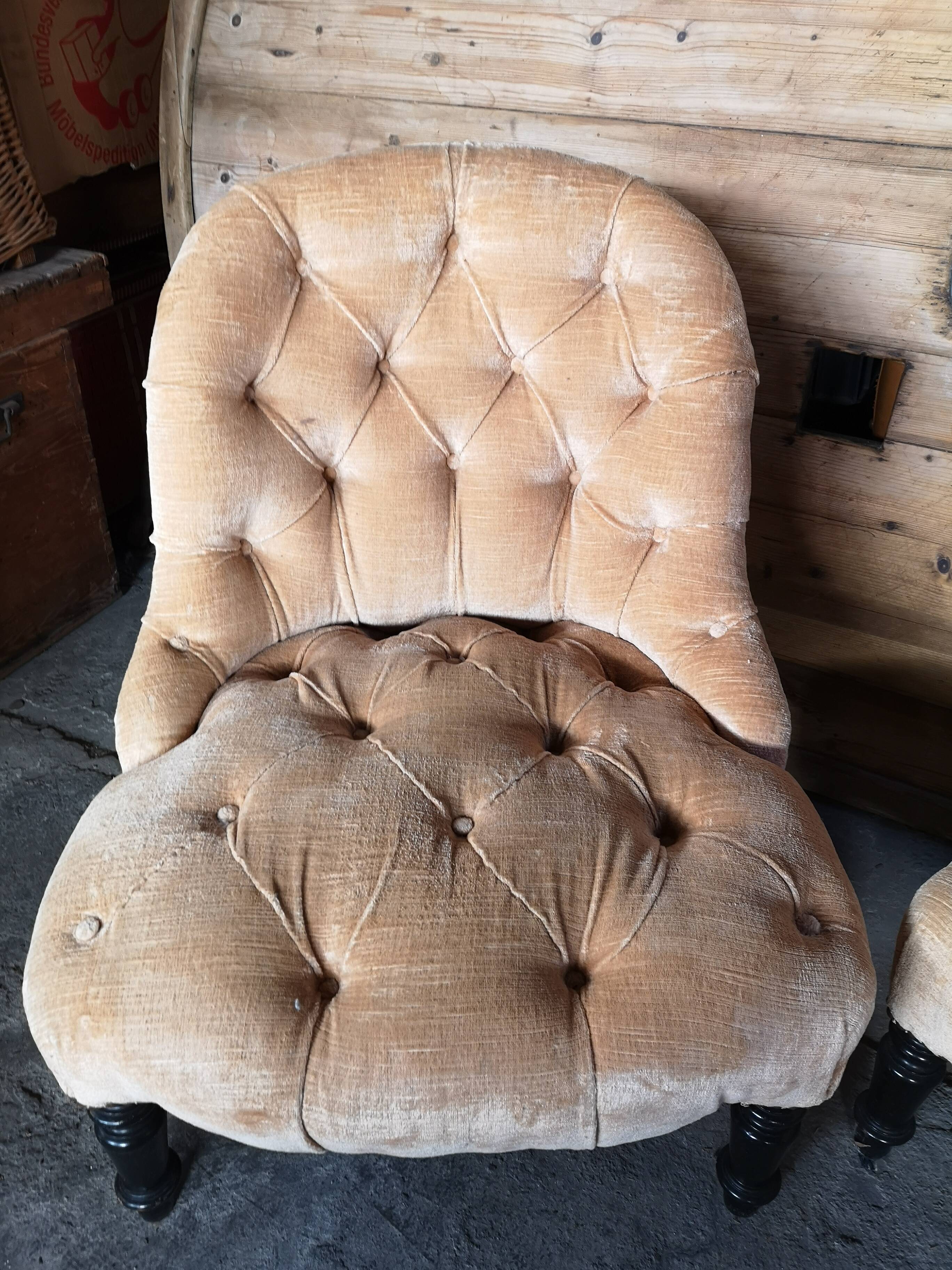 Pair of velvet toad armchairs