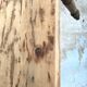 Table de ferme vintage
