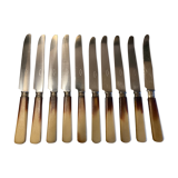 Set of 10 two-coloured bakelite knives