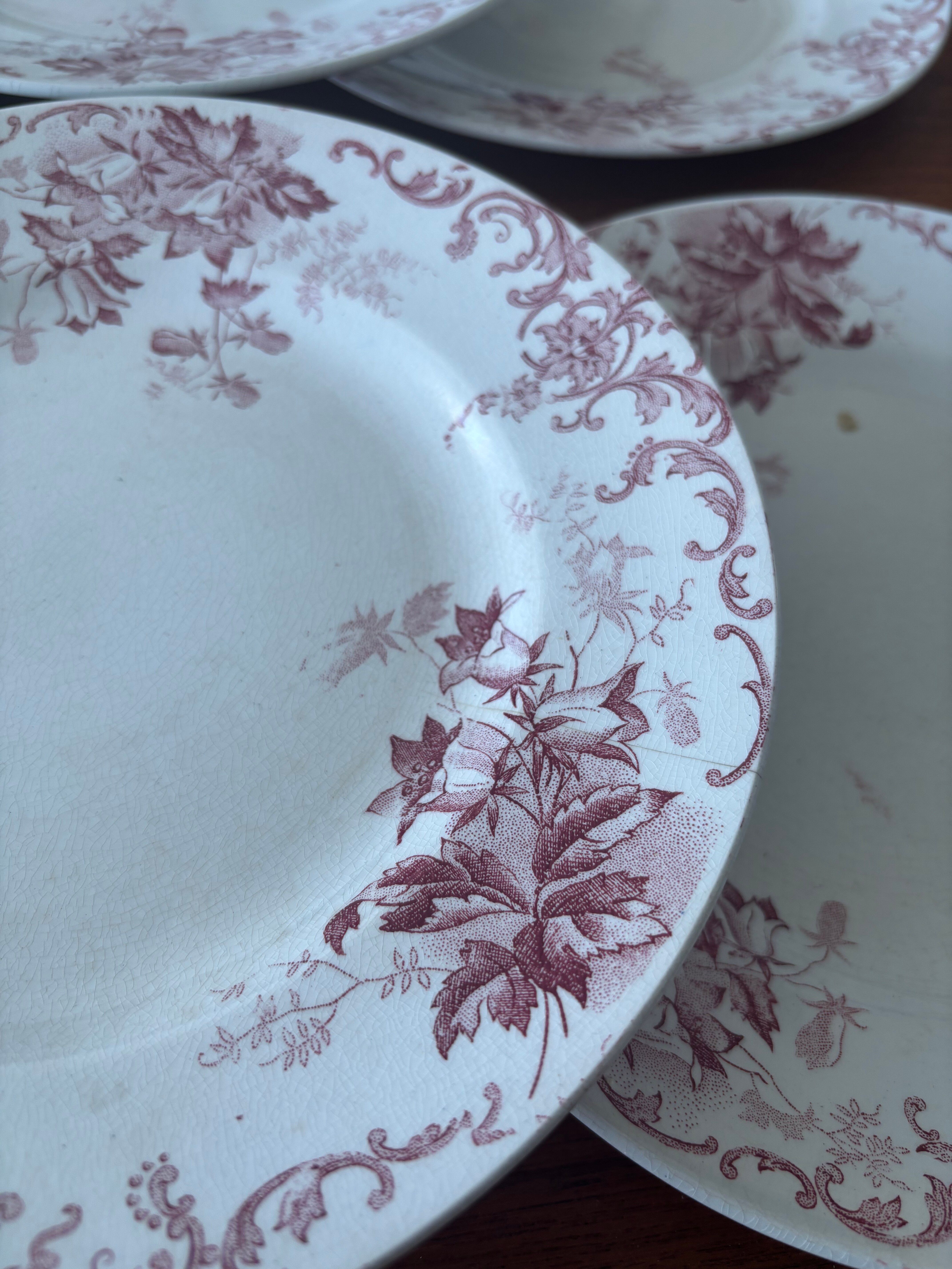 Set of 6 antique red Terre de Fer plates St Amand Hamage model