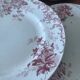 Set of 6 antique red Terre de Fer plates St Amand Hamage model
