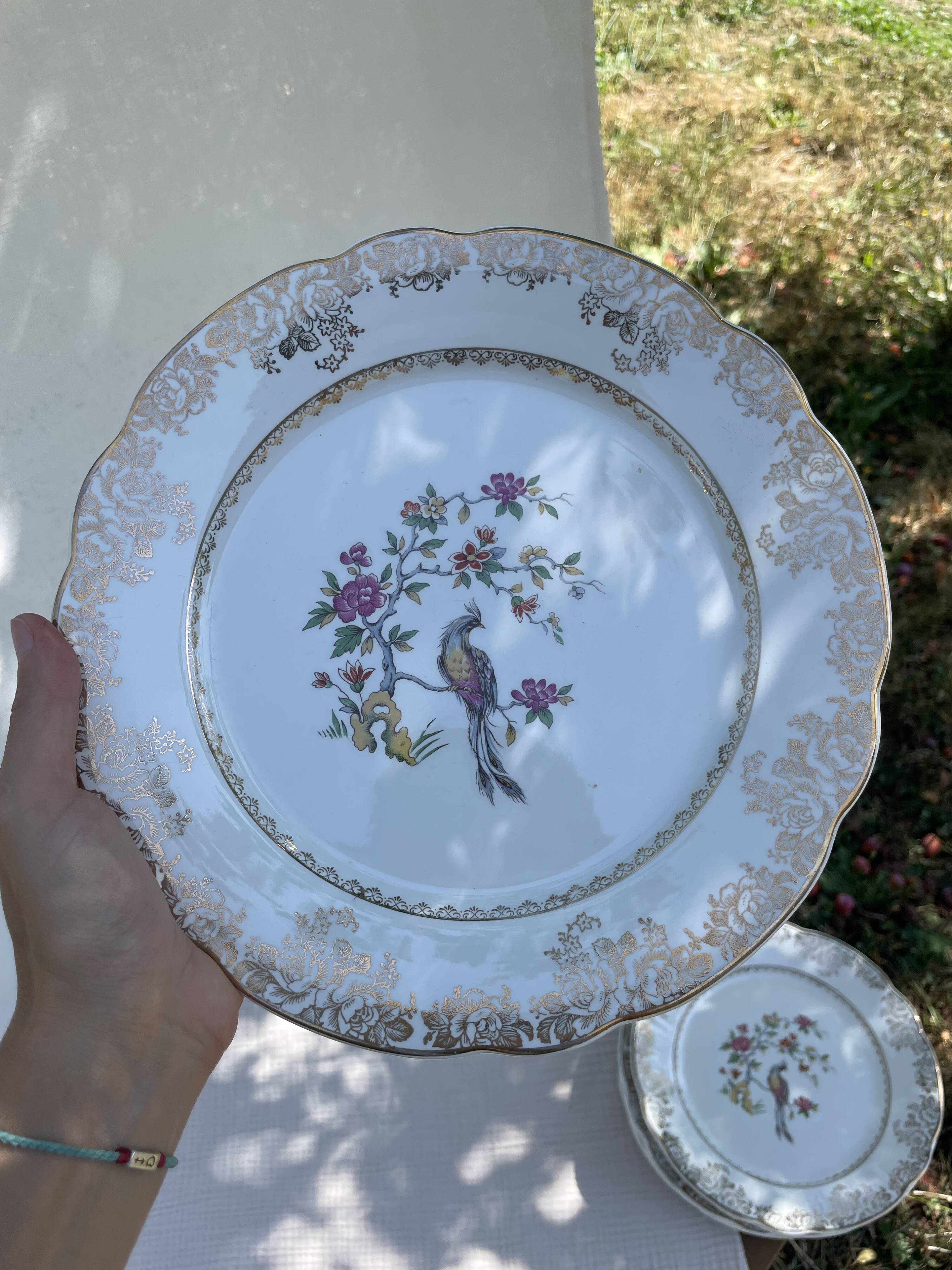 Set of 10 vintage French plates – Digoin Sarreguemines, collection