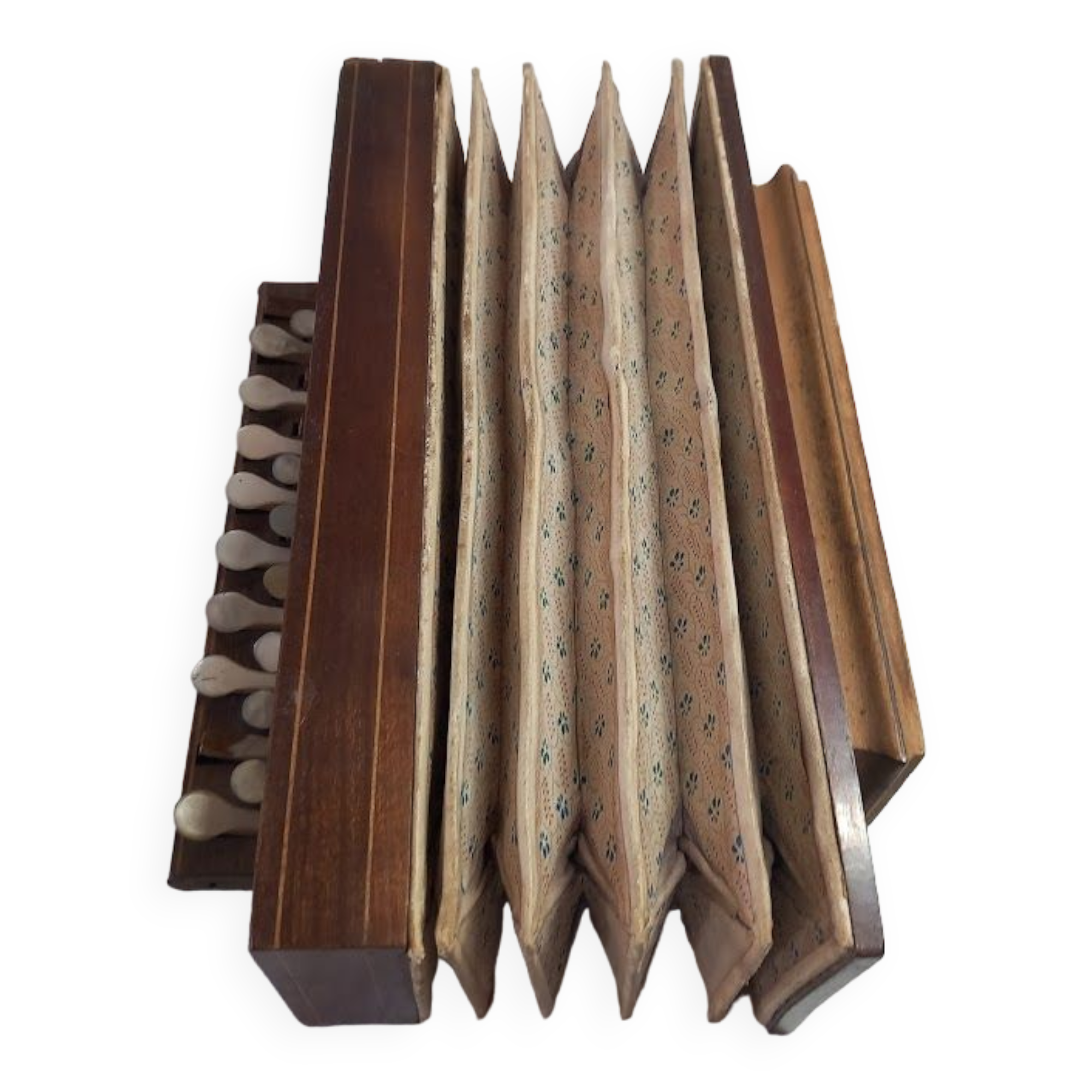 Romantic antique accordion