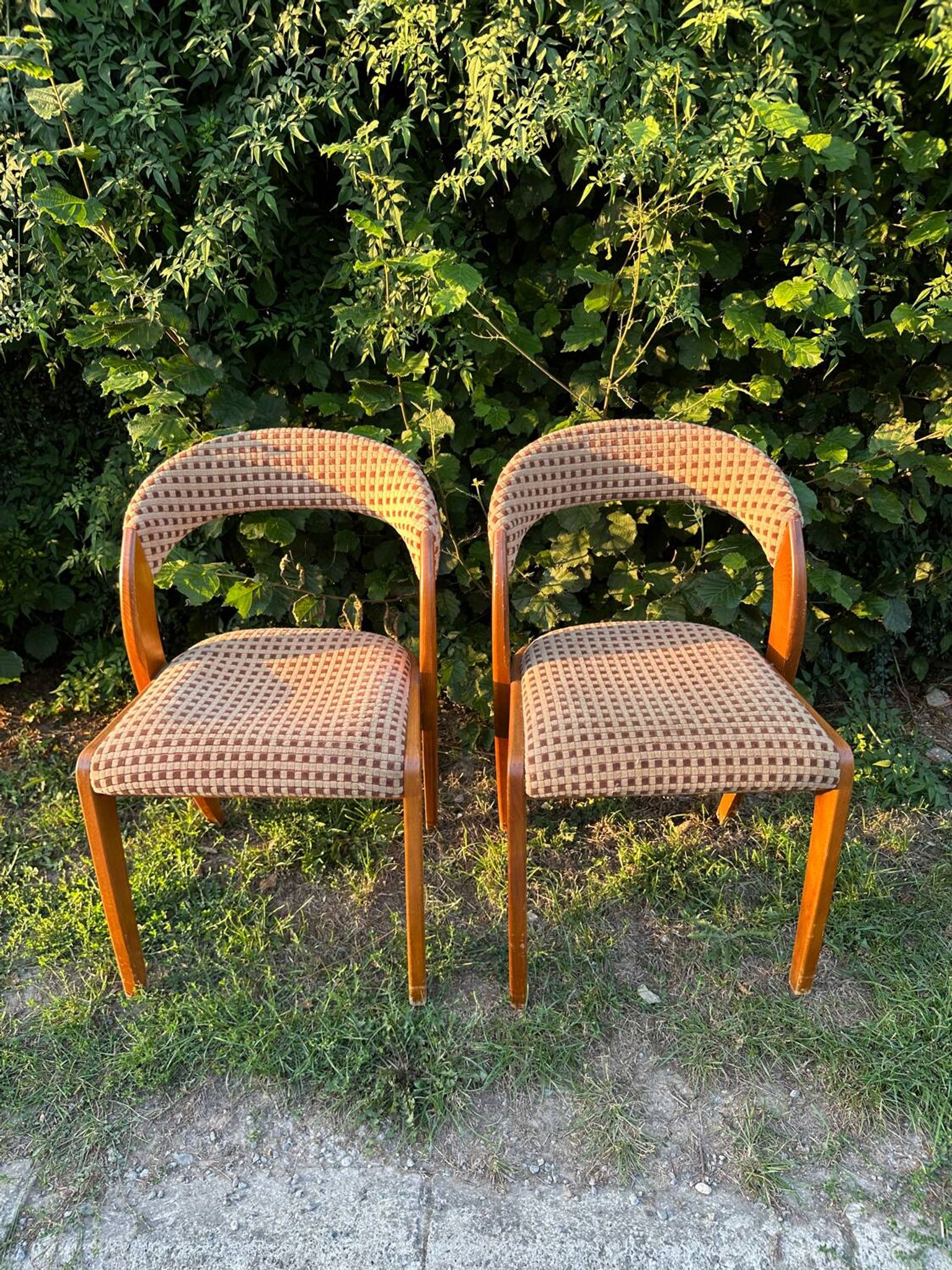Paire de chaises vintage design années 50/60 style Baumann