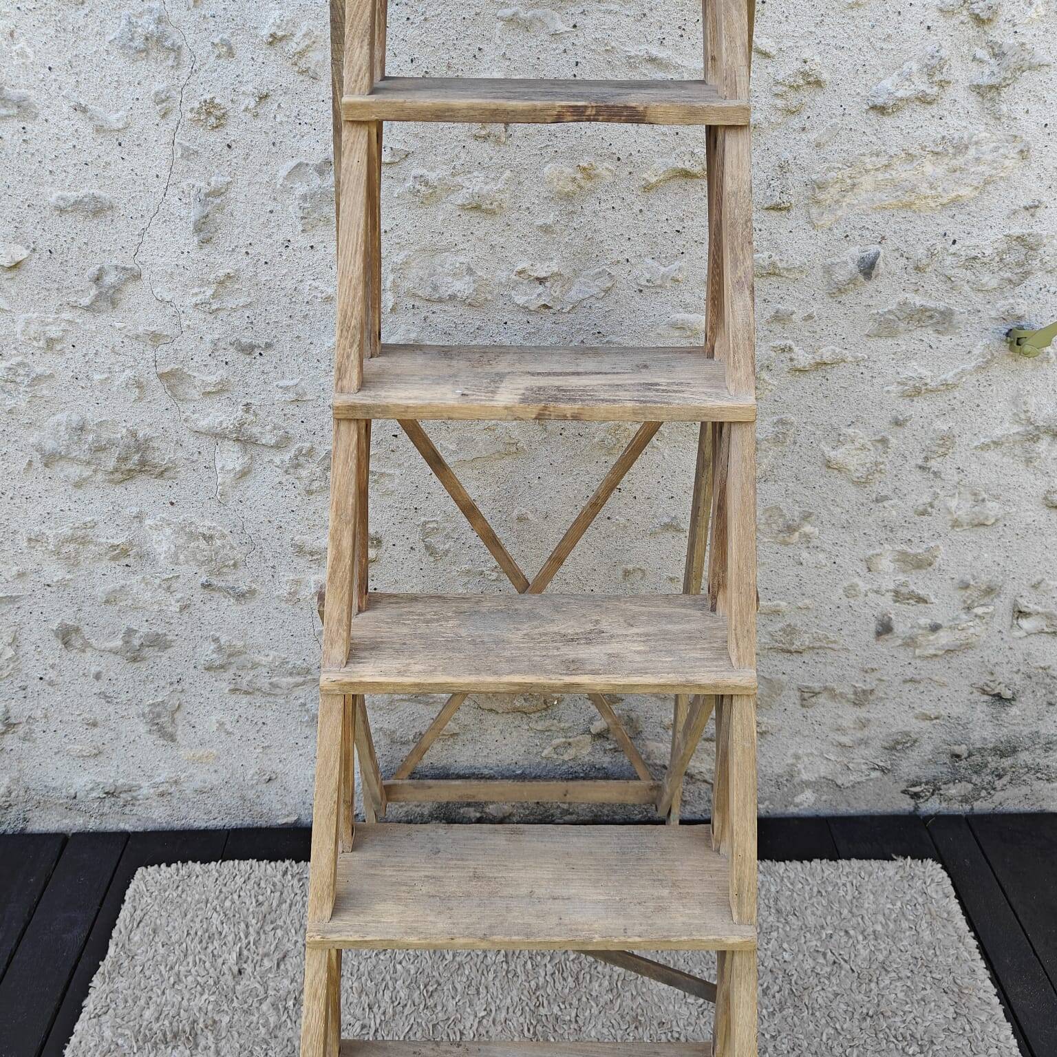 Large stepladder