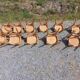 11 chaises bistrot vintage style Baumann