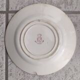 flat plate Gien / cactus