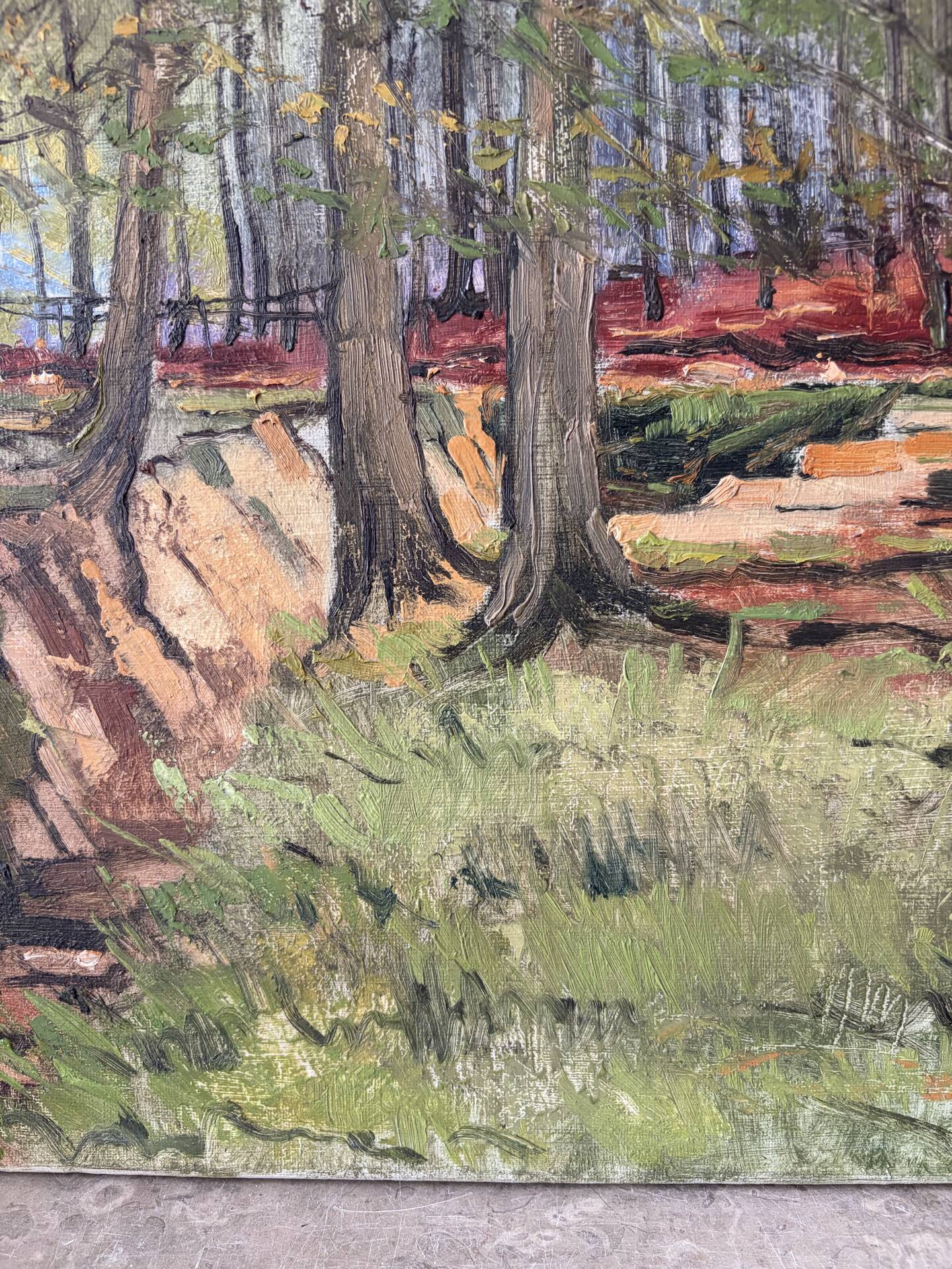 Soignes Forest, oil on canvas signed