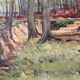 Soignes Forest, oil on canvas signed