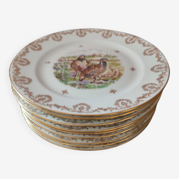 Série de 9 assiettes porcelaine de Limoges
